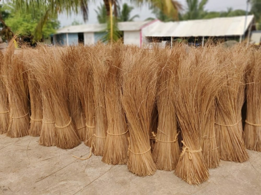 Golden Brown Coconut Broom Raw Material, For Cleaning, Packaging Type: Gunny Pack