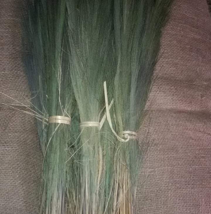 Green Raw Broom Grass, Packaging Size: 50, Size: 7feet
