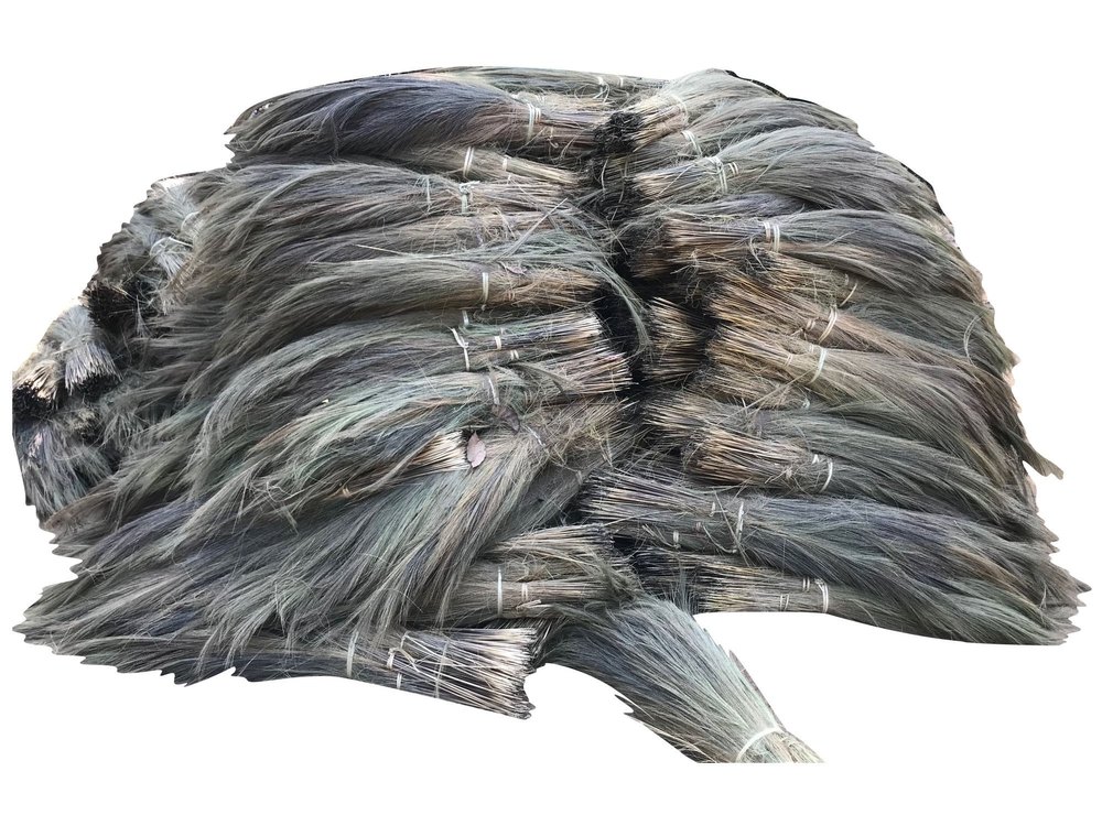 Full Sun Exposure Grass Broom Raw Material
