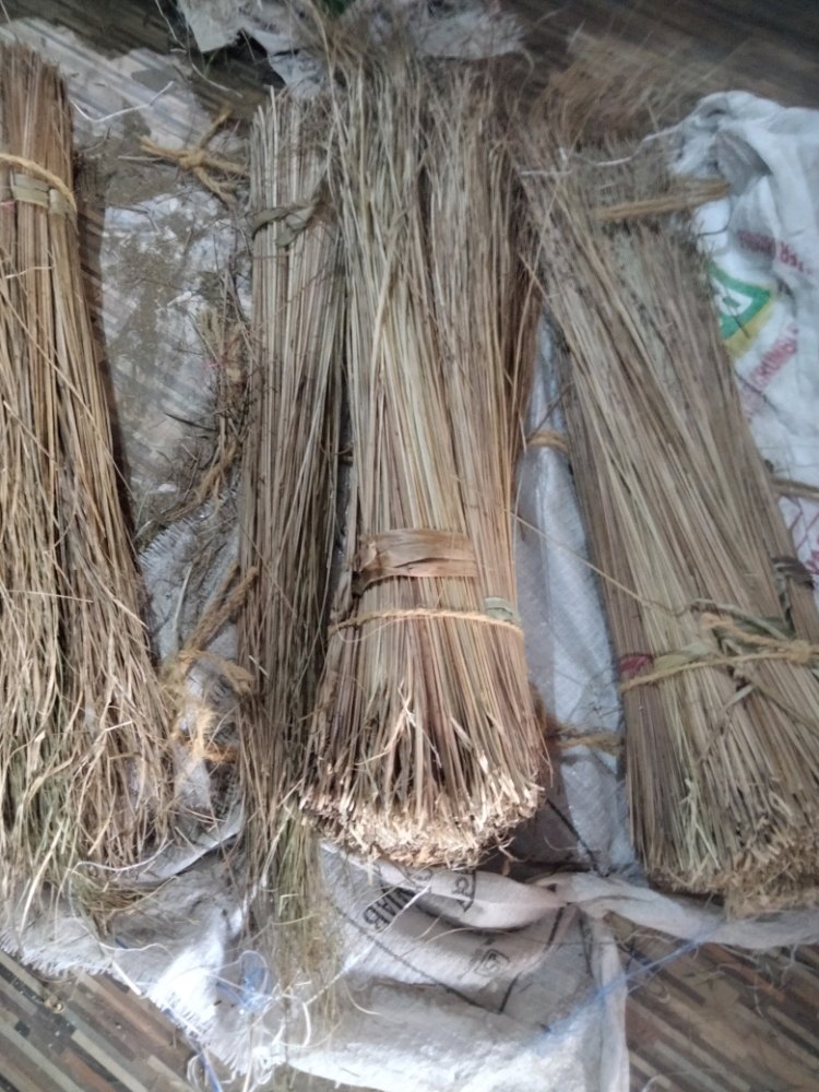 Brown Coconut Broom Raw Material