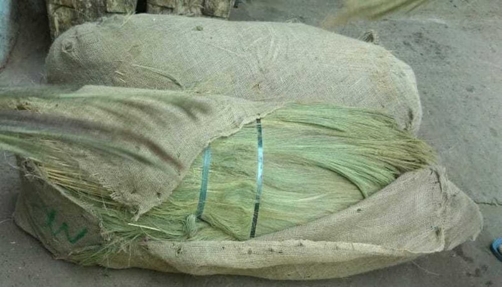 Green Natural Broom Grass