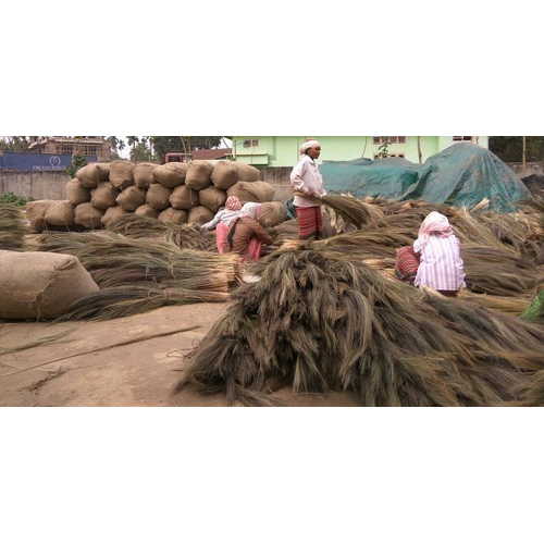 Grass Broom Raw Material, Pack Size: 50 Kg