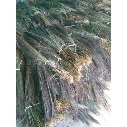 Green Natural Broom Grass