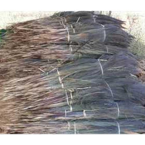 Green Grass Broom Raw Material, Packaging Size: 50kg, Size: 42