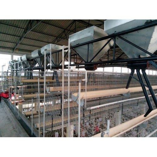Automatic Poultry Feed Trolley, Capacity: 600 Kgs