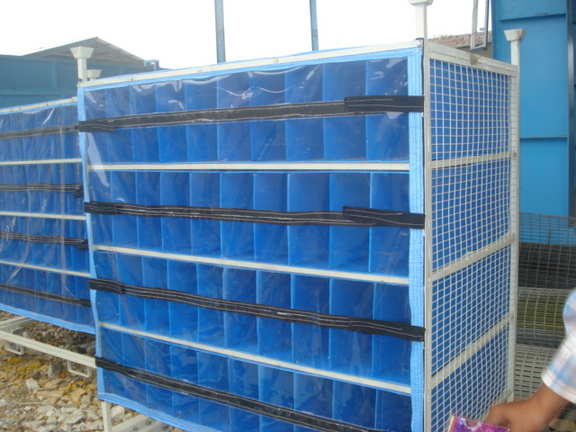 Mild Steel Industrial Trolleys