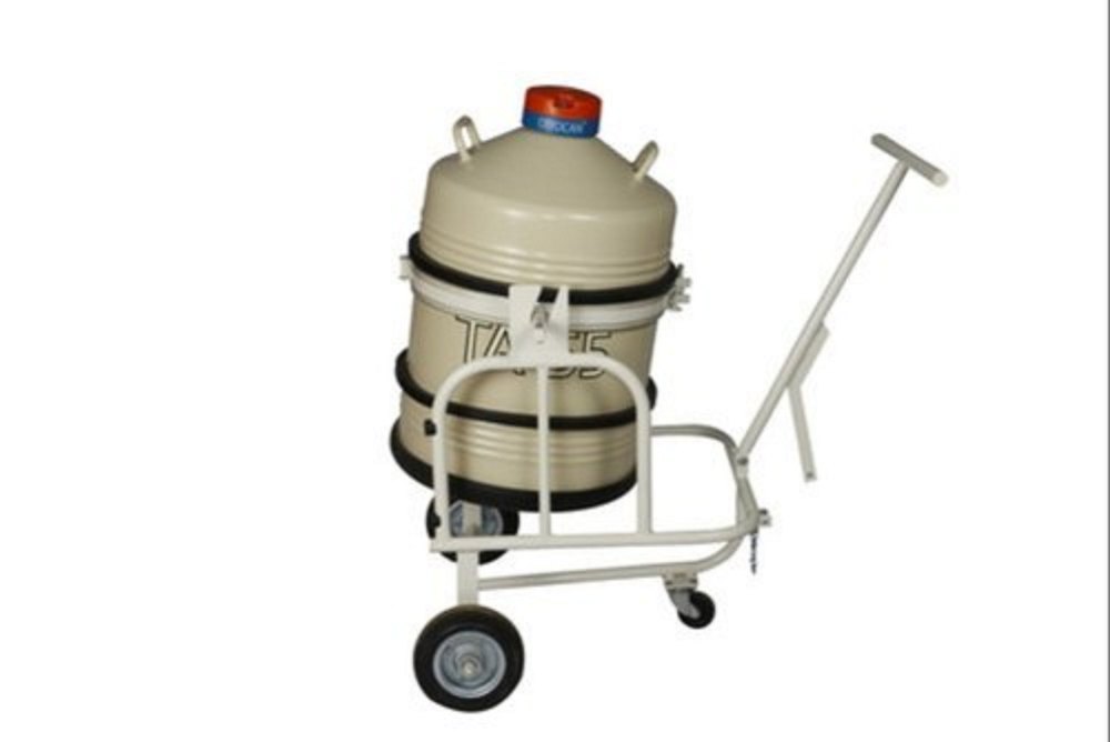 Kansal Mild Steel Liquid Nitrogen Tilting Trolley, For Material Handling, Load Capacity: Varies