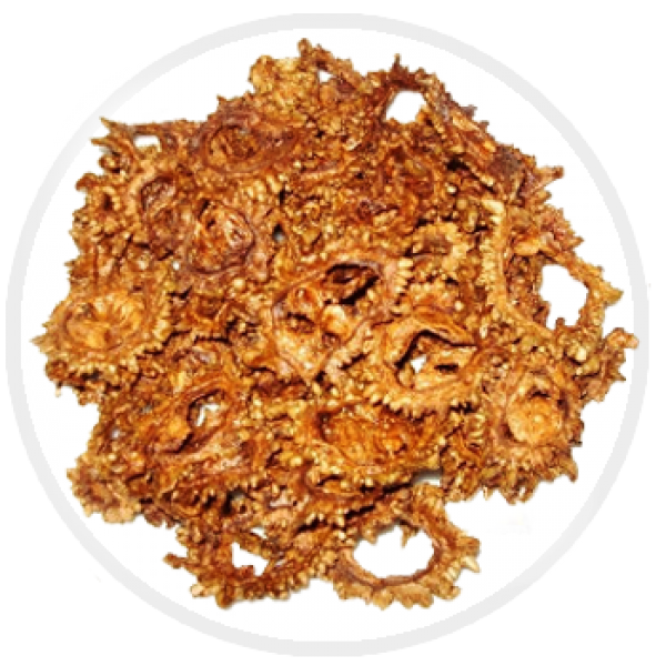 Bitter Gourd Chips