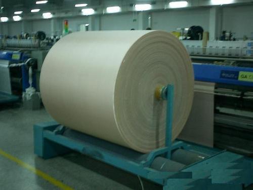 Food Grade Belt