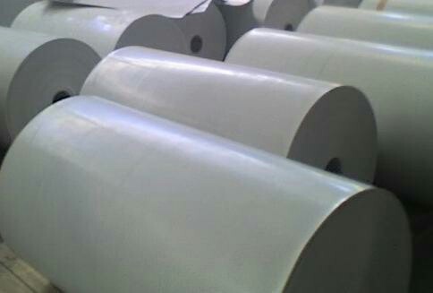 Polypropylene Poultry Manure Belt / PP Manure Belt, Belt Thickness: 0.75 mm to 2.5 MM