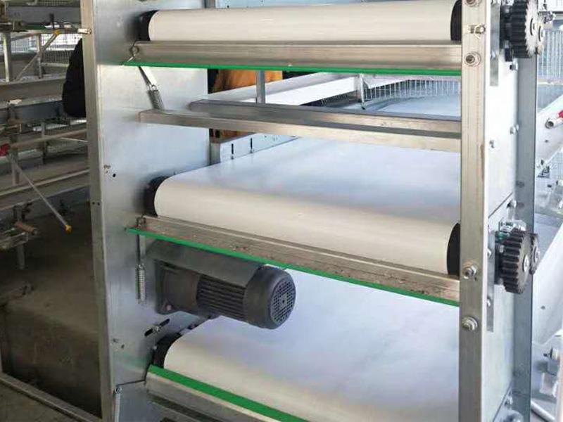 Plastic Simple Taper Roller Poultry Polypropylene Belt, Belt Thickness: 0.80mm to 3mm