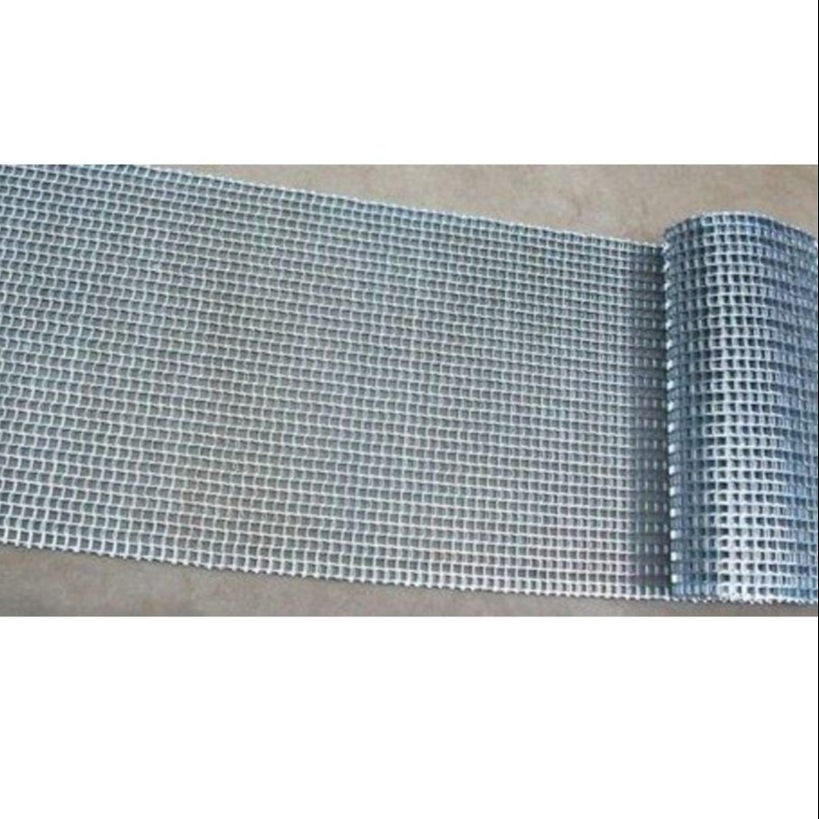 SS 304 Conveyor Belt