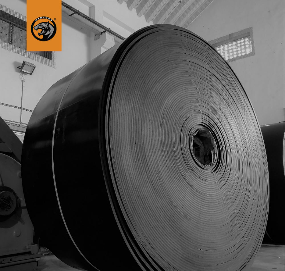 Rubber Fire Resistant Belt, Belt Width: 800mm, Belt Thickness: 10mm