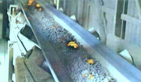 Flame Resistant Conveyor Belt, 600 - 1200 N, Belt Thickness: 2 - 25 mm