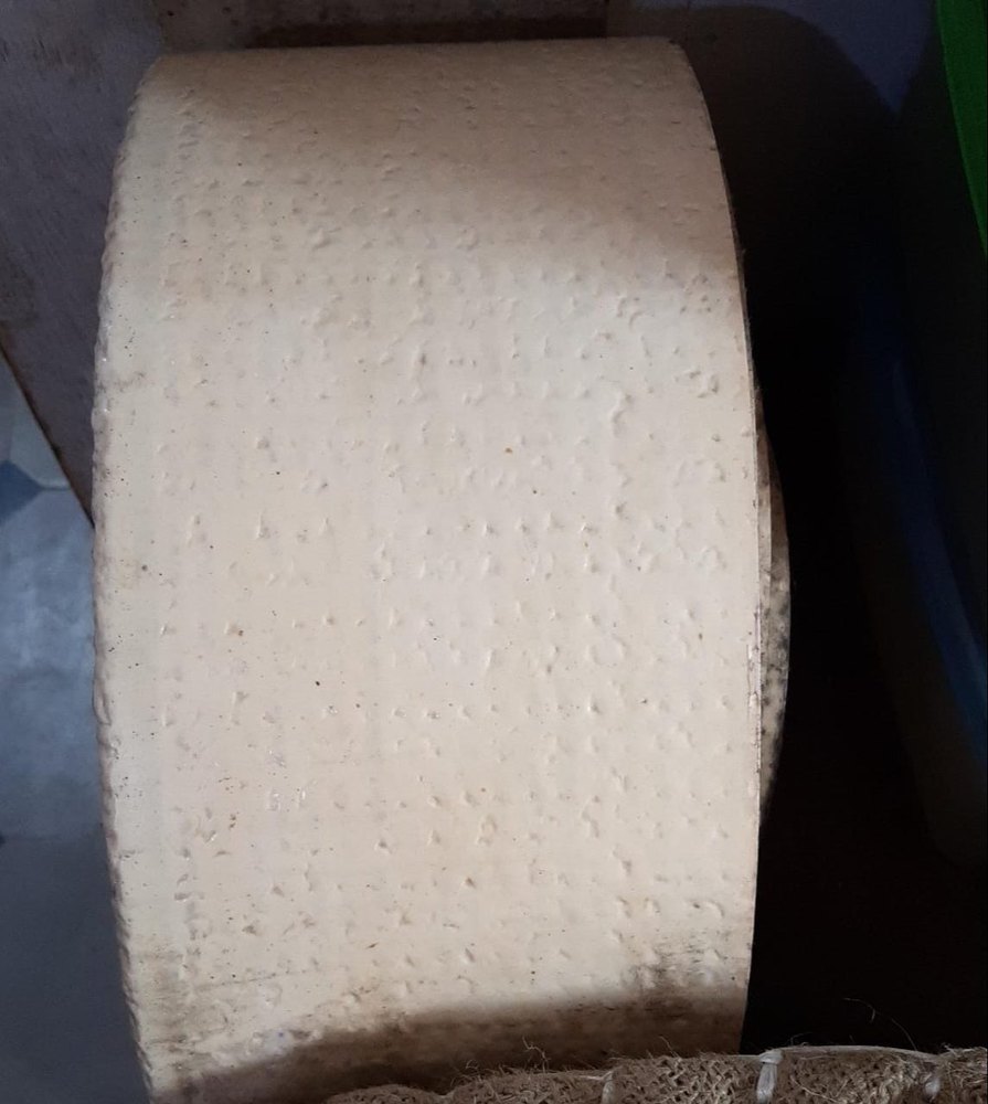 PVC Solid Woven Belt, Belt Thickness: 8 mm