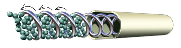 Stainless Steel Conveyor Spring