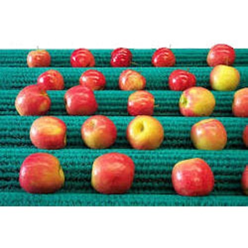 Cylindrical Brush Nylon Apple Grading Machine Brushes, For Industrial