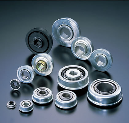 Conveyor Bearing