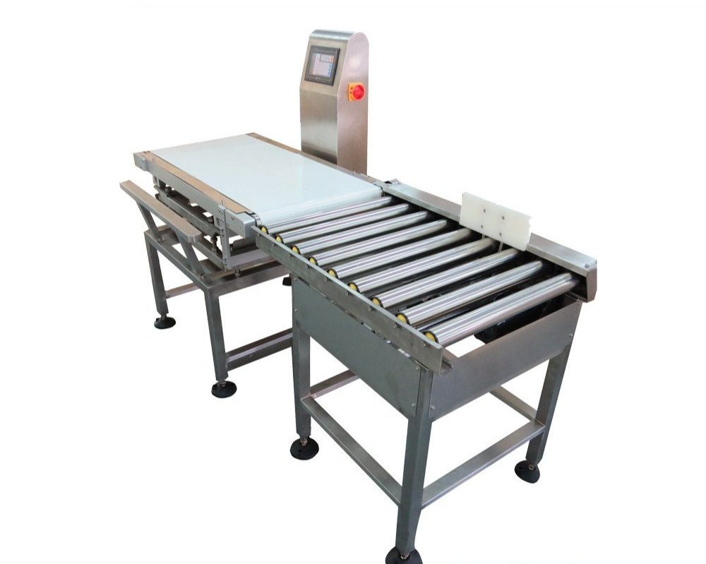 MS / SS Conveyor Belt Scales