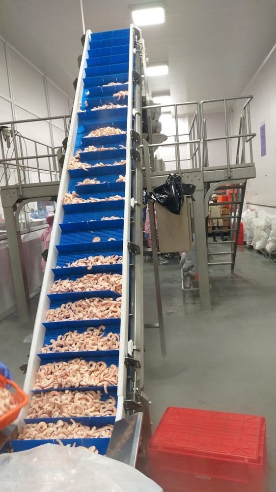 Mild Steel Chain Potato Chips Conveyor