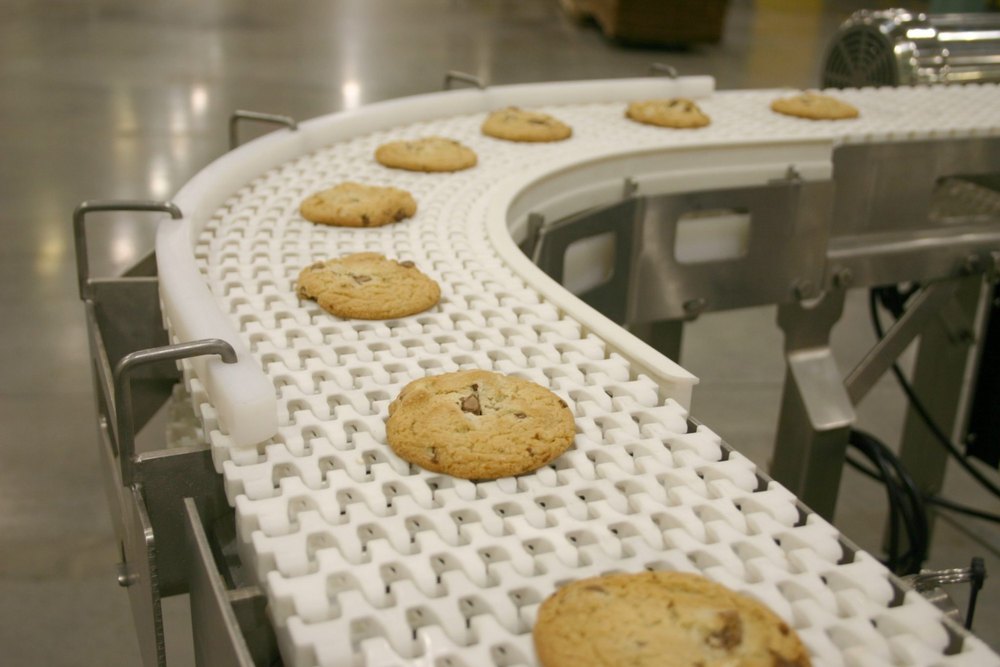 Anton Biscuit Cooling Conveyor