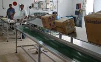 Flight Kitchen Conveyors