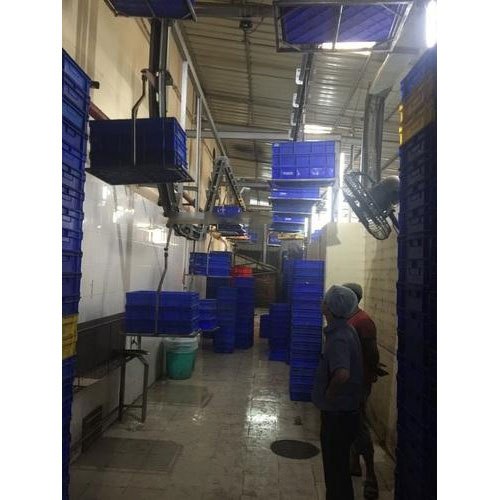 Stainless Steel Conveyor for Dairy Plant, Capacity: 50-100 kg/feet