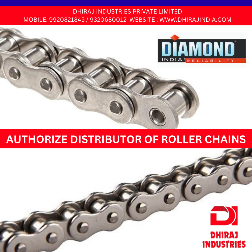 SS Roller Chain