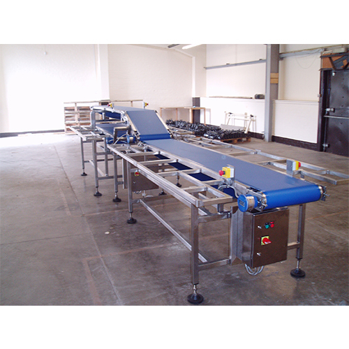 Darshini Electric Flat Belt Conveyor, Material Handling Capacity: 1-50 Kg Per Meter