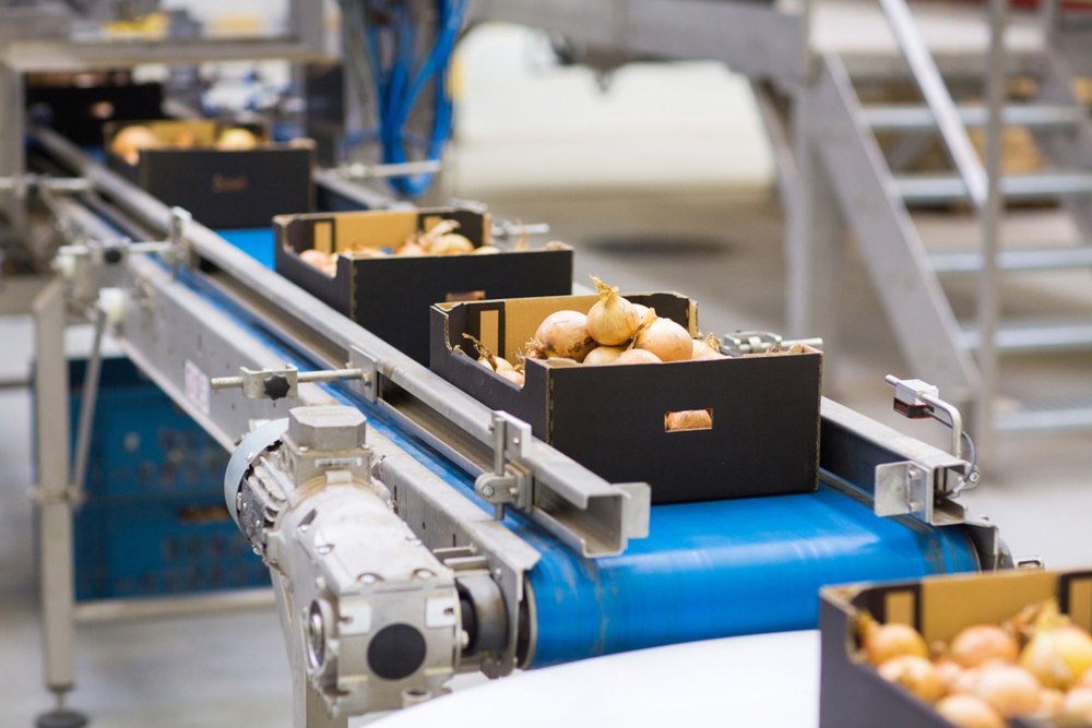 Coding Conveyor