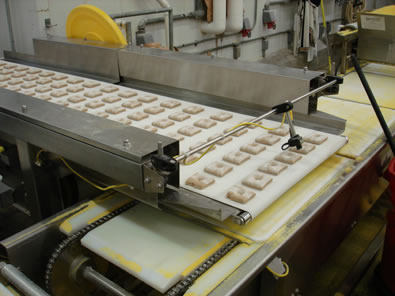 Standard Shuttle Conveyors