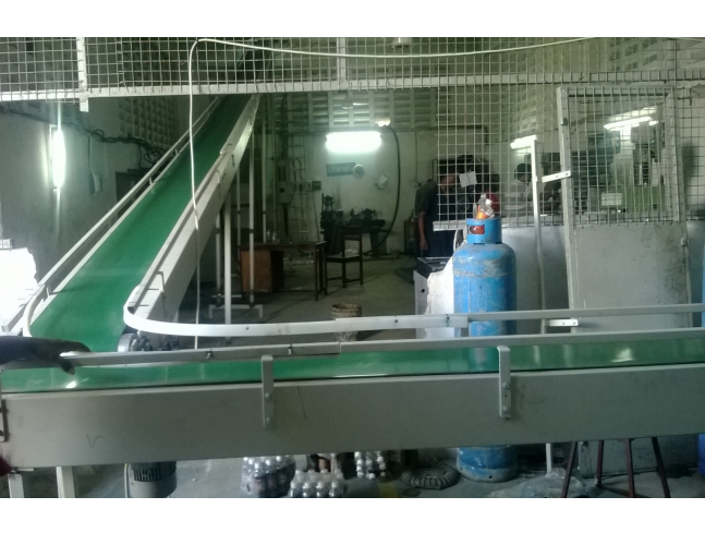 Check Weigher Conveyor System