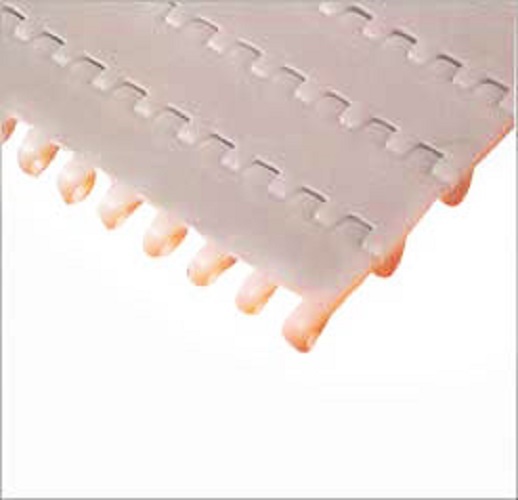 Plastic Modular Belts