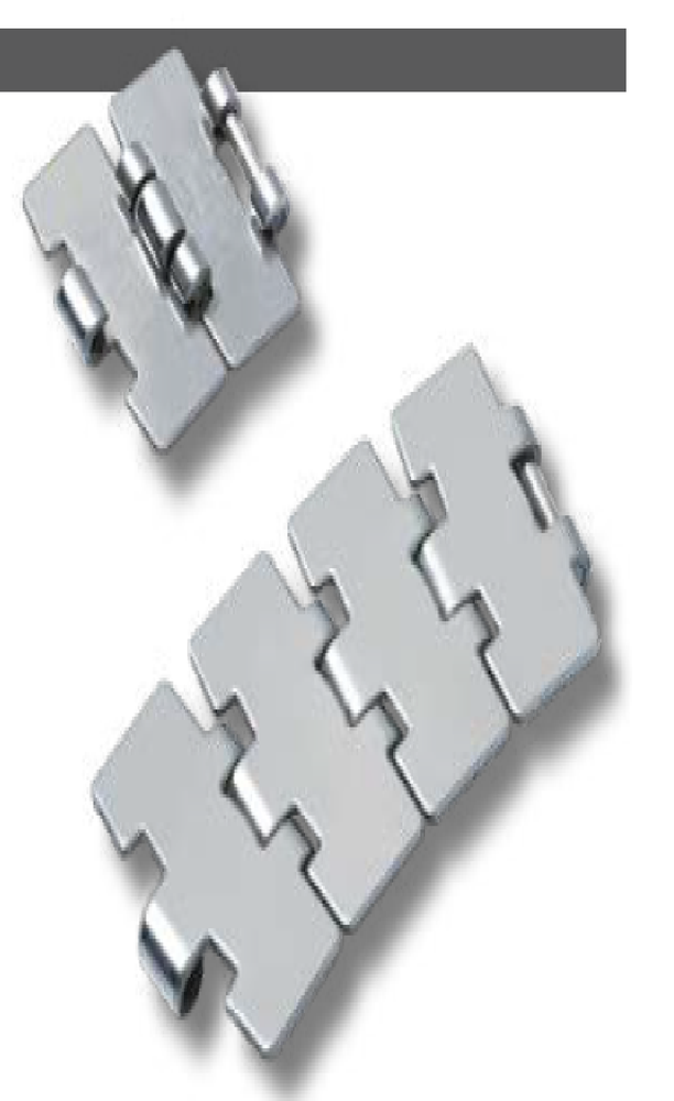 Regina Side Flexing Steel Chains - 981 M / PHD 981 M Series