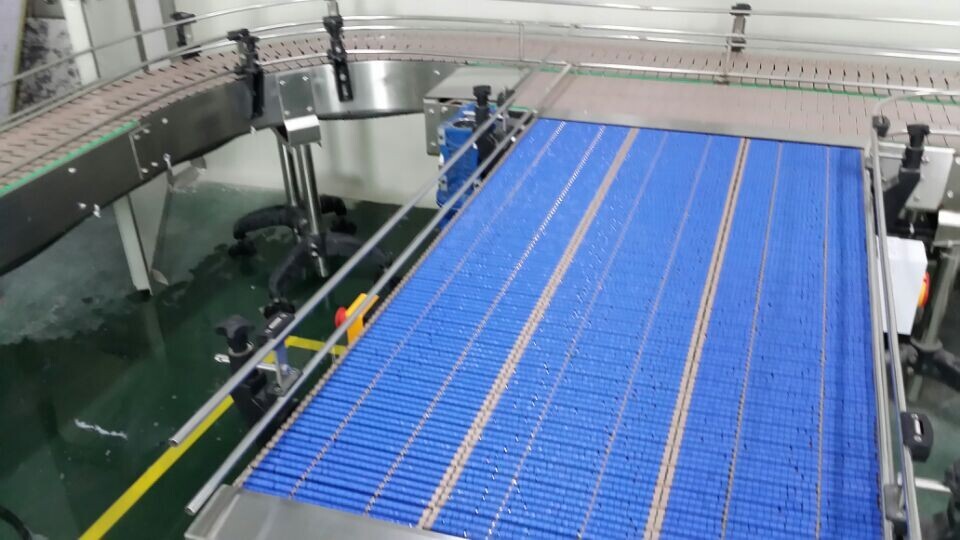 WIPL Modular Belt Accumulation Conveyor