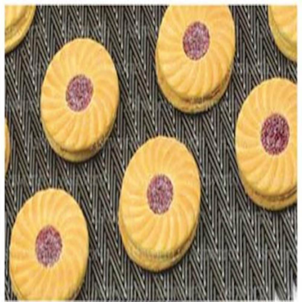 SS 304 Wire Mesh Conveyor Belt