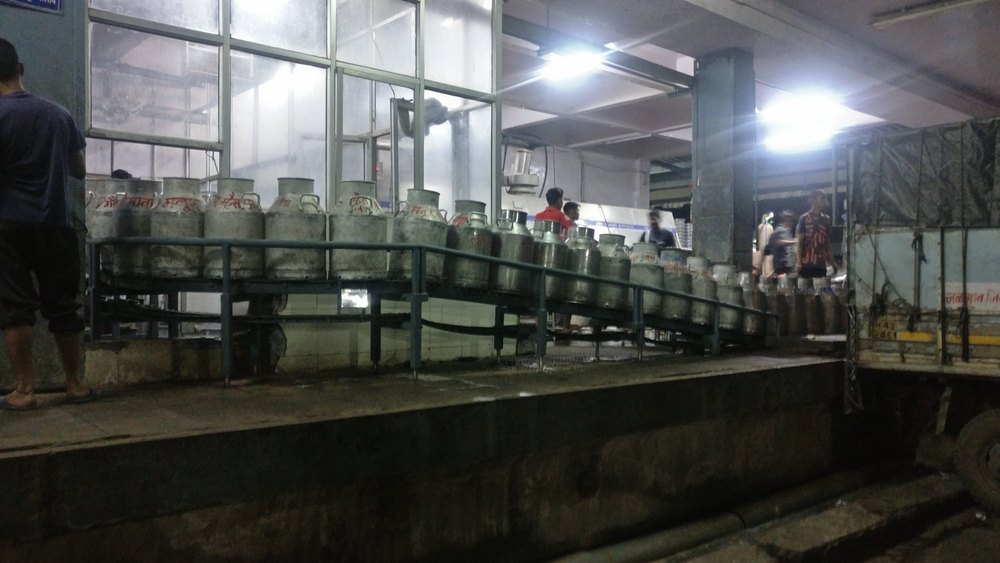 Joriki Engineering Can Conveyor Installation Services, Material Handling Capacity: 50-100 kg per feet