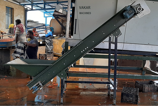 Stainless Steel Belt CONVEYOR ( ELEVATOR ), Capacity: 10m3/h