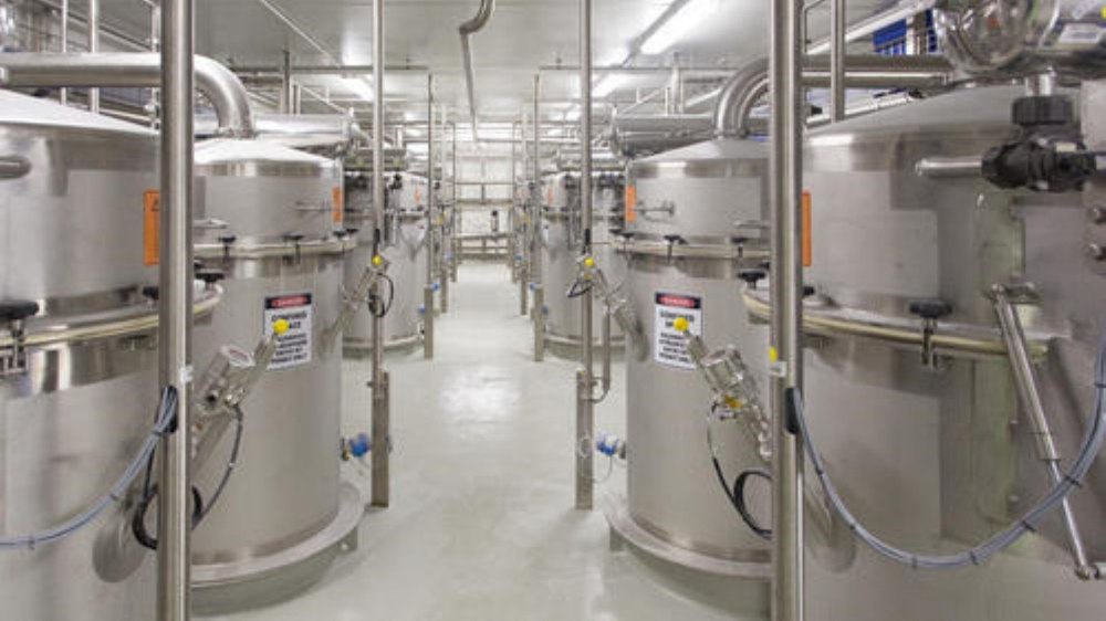 Stainless Steel Vacuum Conveyor System, Capacity: 200-250 Ton Per Hour