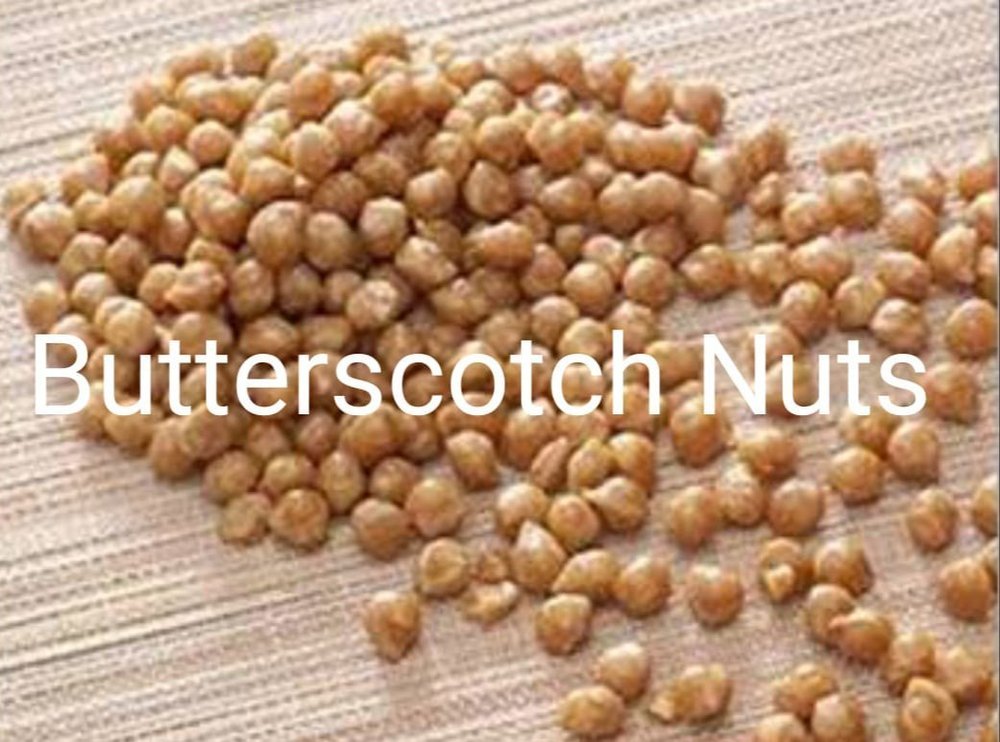 Flax Seeds Chocolate Coated Butterscotch Nuts, Packaging Type: Loose