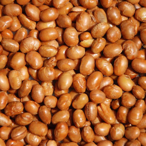 Roasted Soybeans