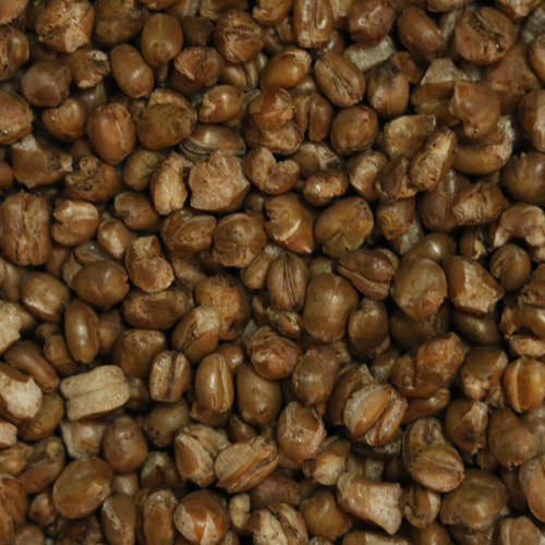 Roasted Wheat