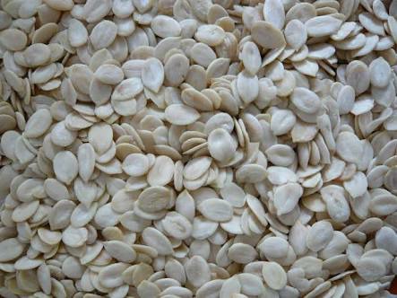 Watermelon Seeds Kernel
