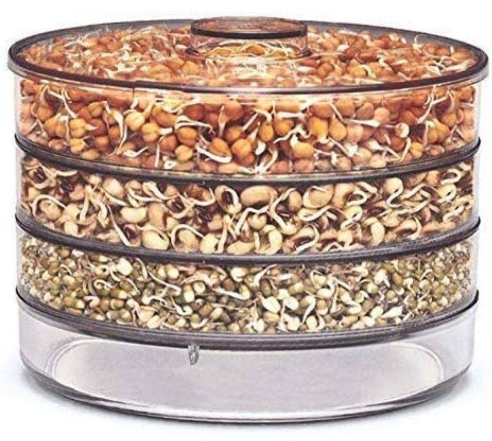Boa Free abs Plastic Transparent Sprout Maker 4 Container, Single Pic Box, Capacity: 2500ml