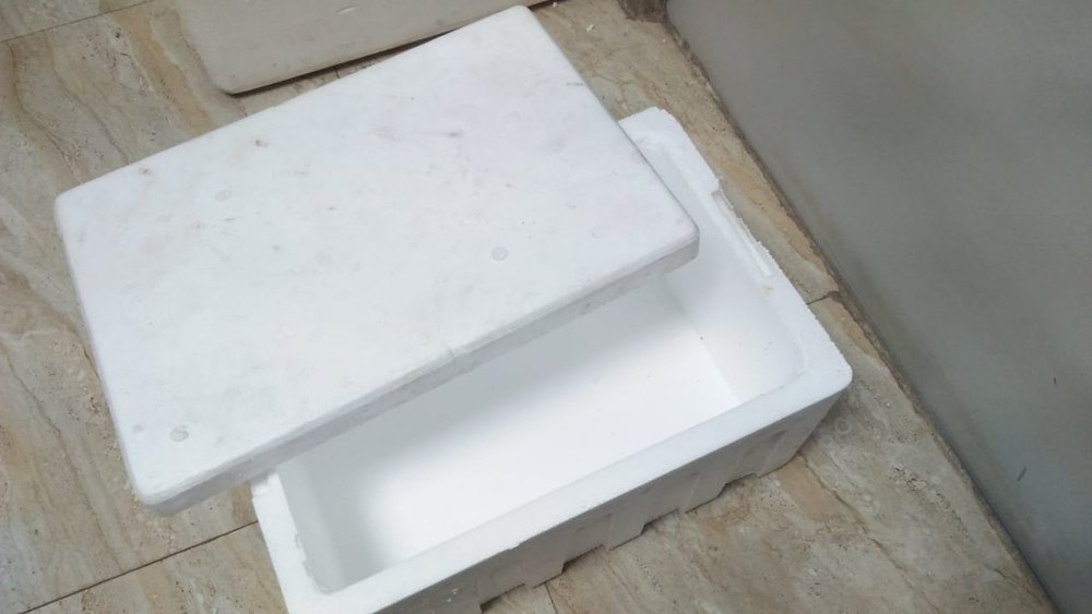 Normal EPS 10 Litre Thermocol Ice Box, Thickness: 1.85cm