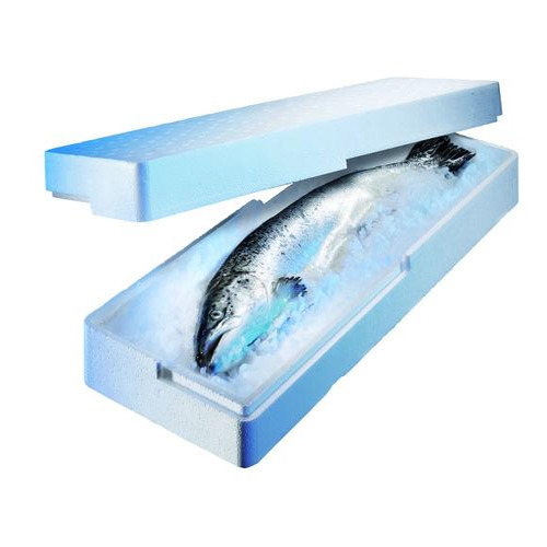 EPS Fish Box, For Packaging, Size (Dimension): 19 X 9 X 4 cm