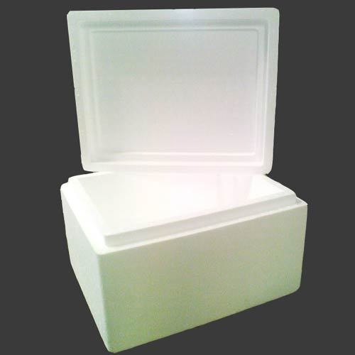 Eps Thermocol Fish Box, For Packaging