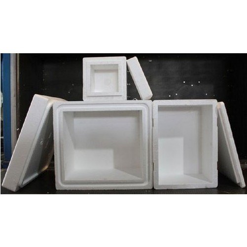 EPS Thermocol Box, For Packaging, Thickness: 15 - 25 mm