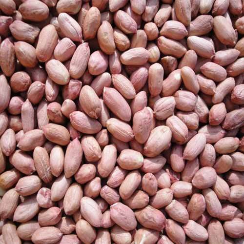 Roasted Peanut Seed