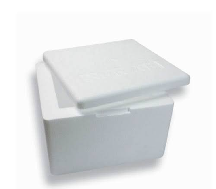 Normal EPS 1 L Thermocol Box